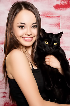 Asian kitten Li Moon